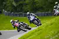 brands-hatch-photographs;brands-no-limits-trackday;cadwell-trackday-photographs;enduro-digital-images;event-digital-images;eventdigitalimages;no-limits-trackdays;peter-wileman-photography;racing-digital-images;trackday-digital-images;trackday-photos